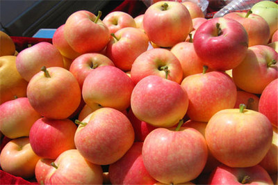 果多美加盟是否靠譜？剖析新鮮水果零售的機(jī)遇與挑戰(zhàn)